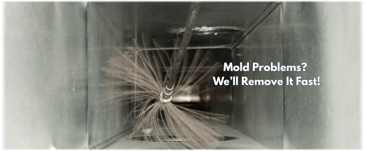 Air Duct Mold Removal in Woodlands TX
