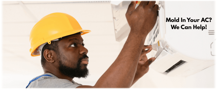 HVAC Mold Removal Woodlands TX